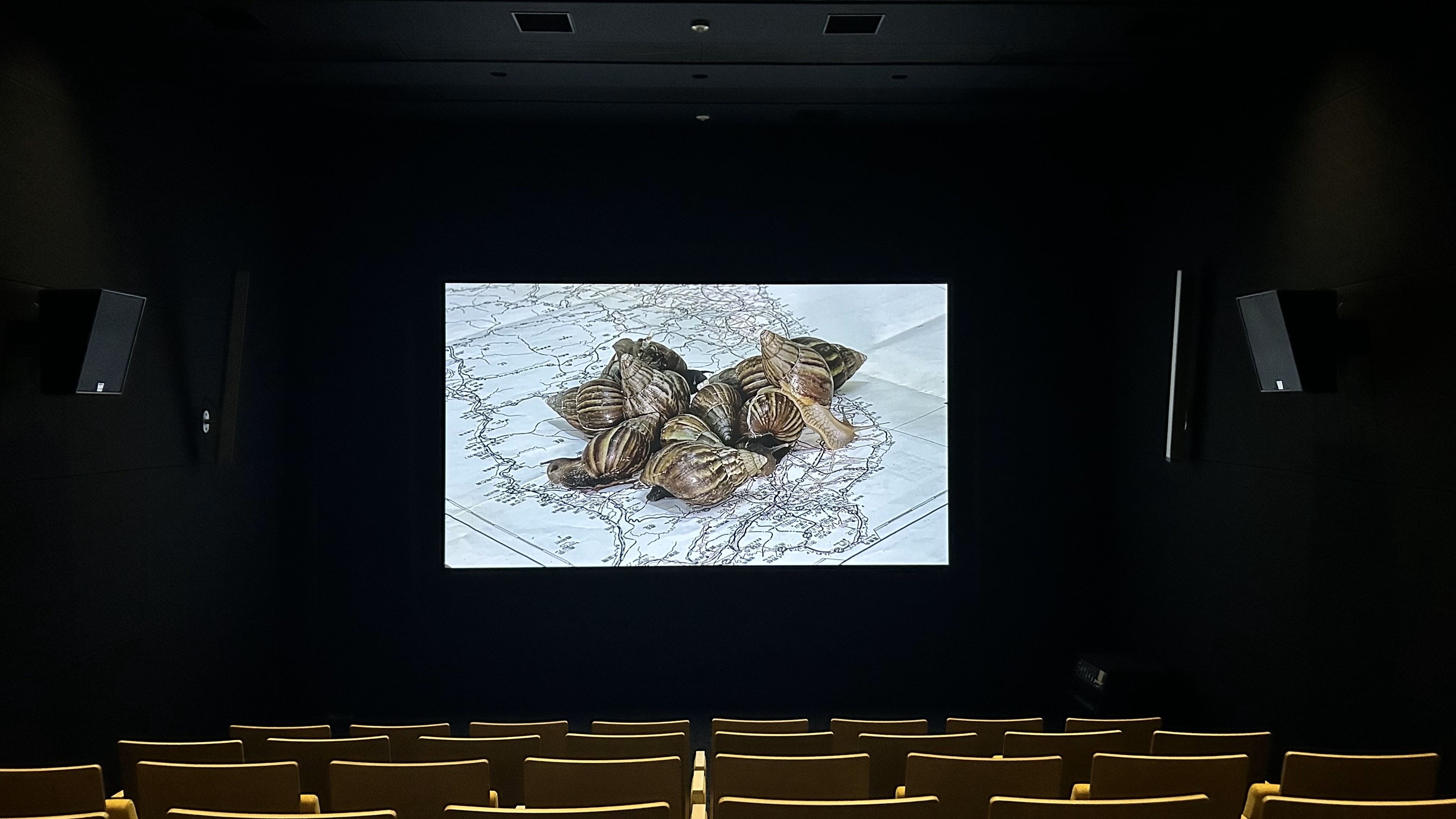 金沢ナイトミュージアム×金沢美術工芸大学 藝術スクリーニング